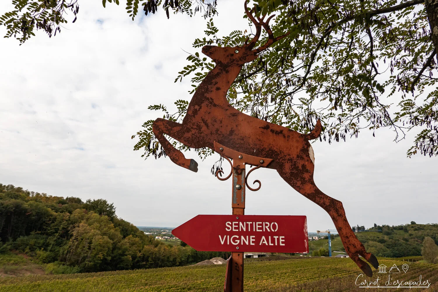 cormons-sentiero-vigne-alte