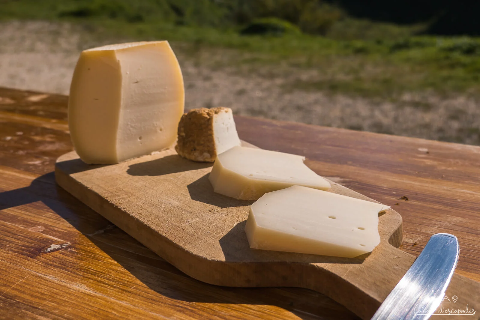 fromage-chevre-caneva