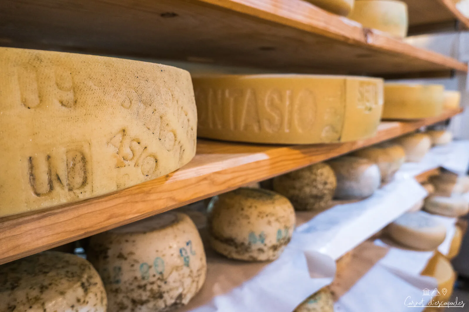fromage-montasio-italie