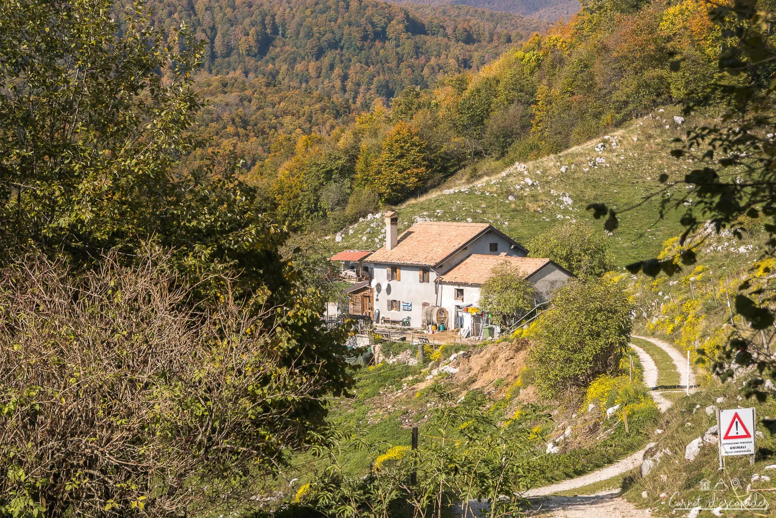 malga-cercenedo-caneva