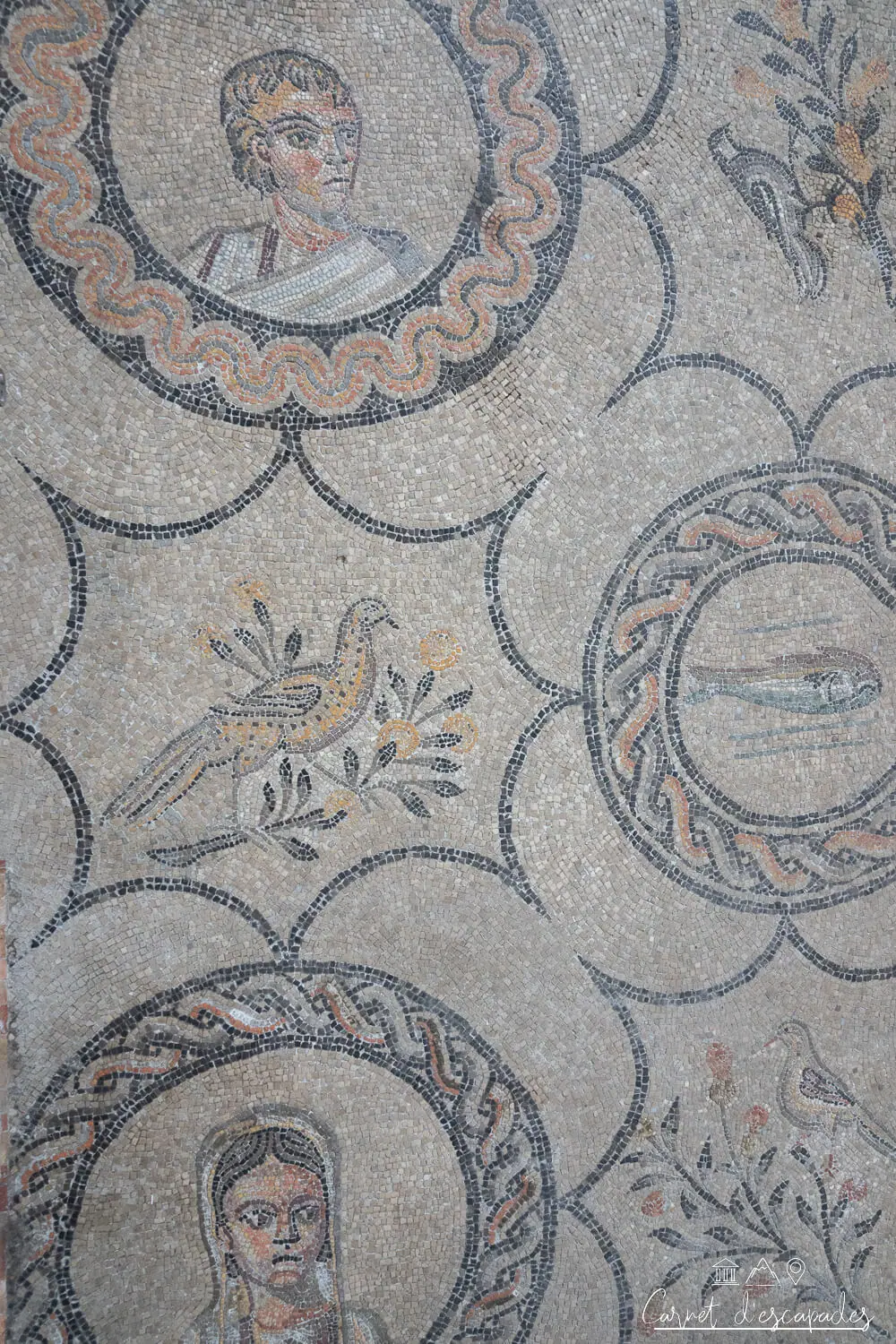 mosaique-aquilee-italie