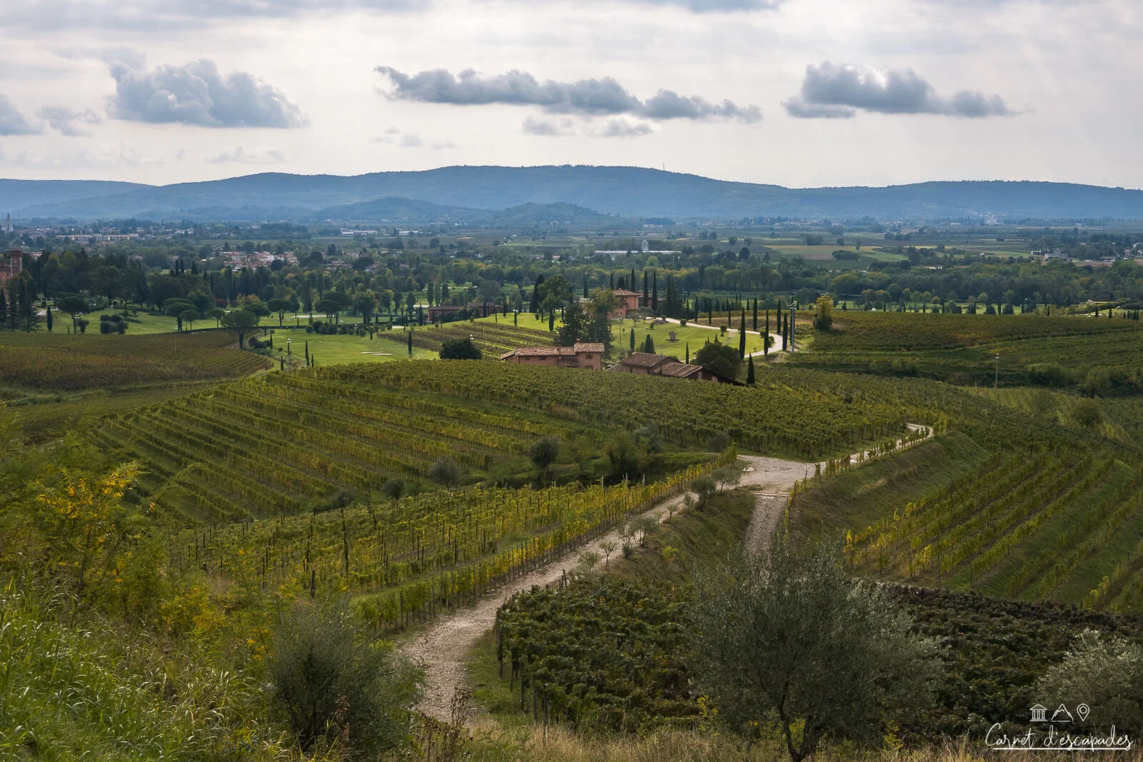 sentiero-vigne-alte-cormons