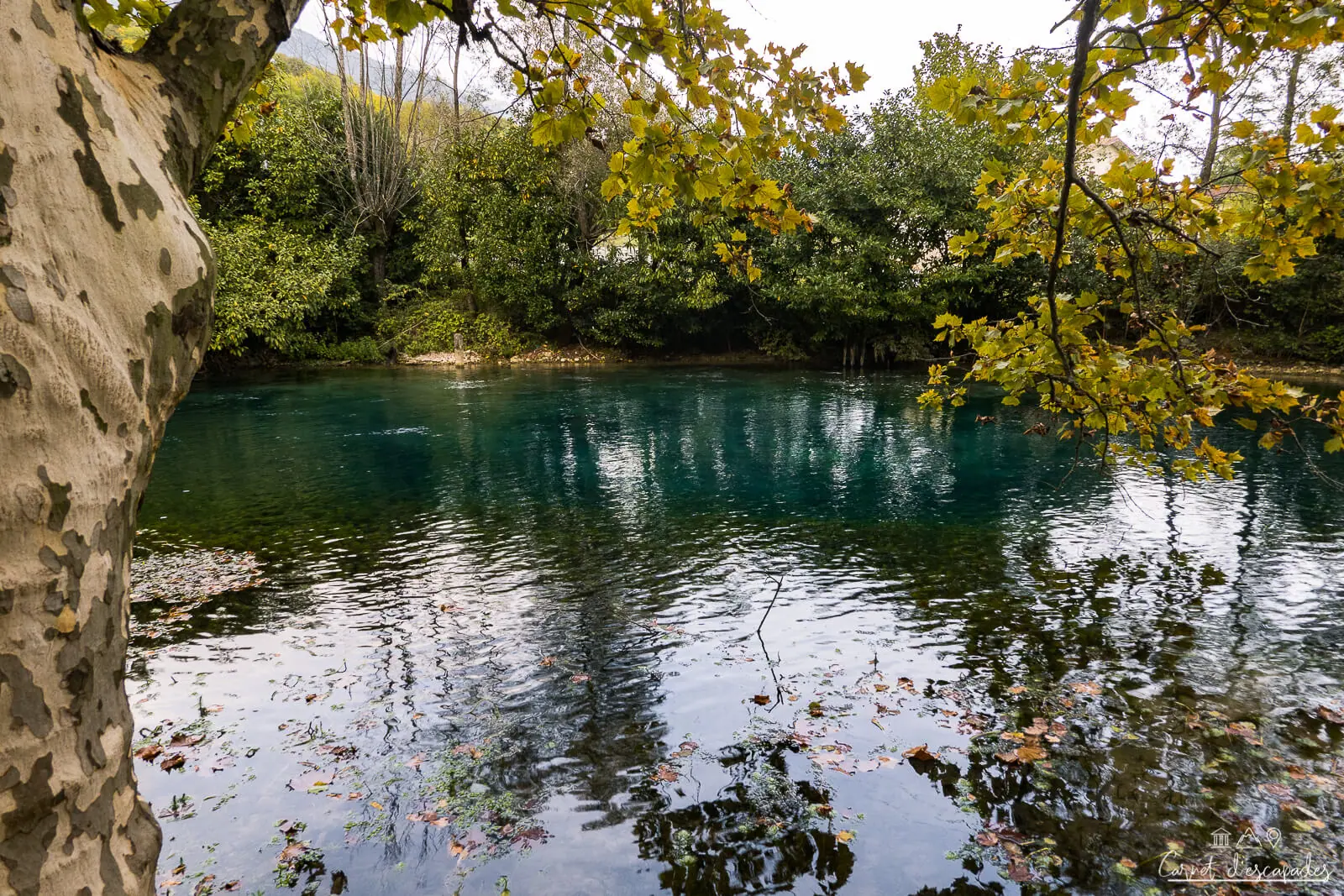 sources-livenza-polcenigo