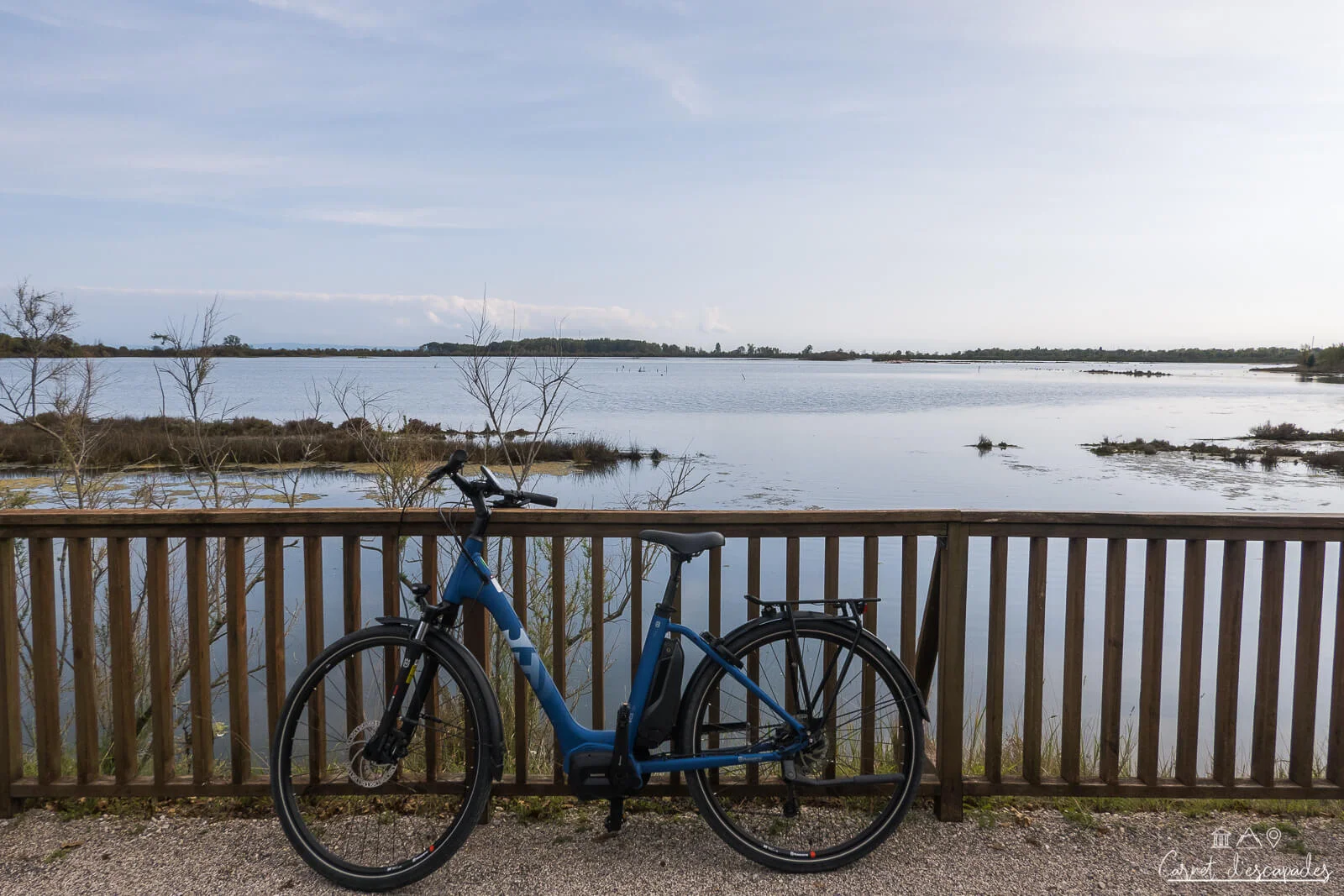 velo-grado