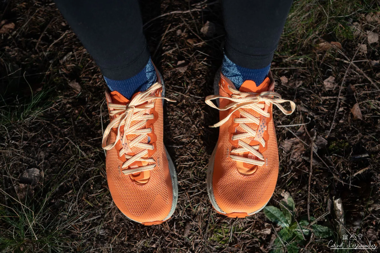 altra-timp-4