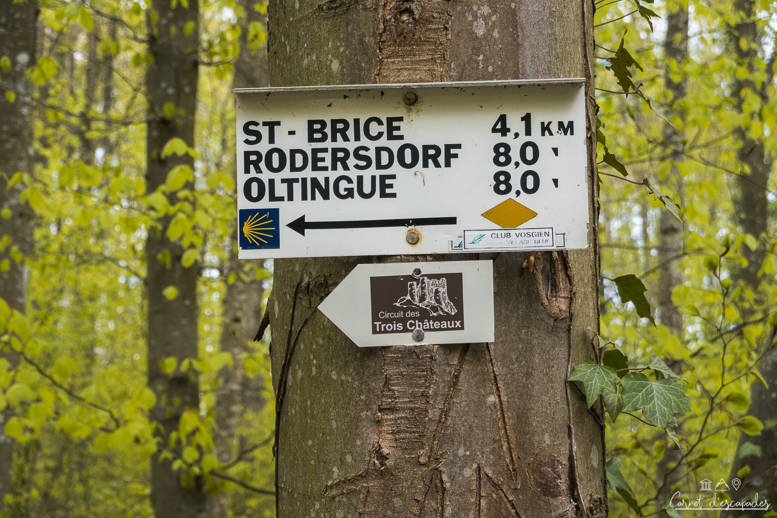 balisage-circuit-chateaux-jura-alsacien