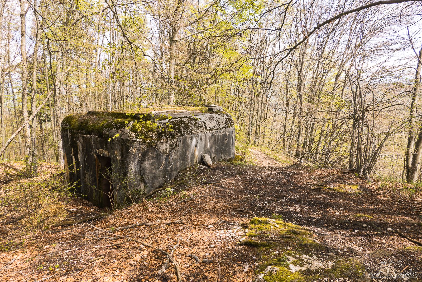 bunker-ligne-maginot