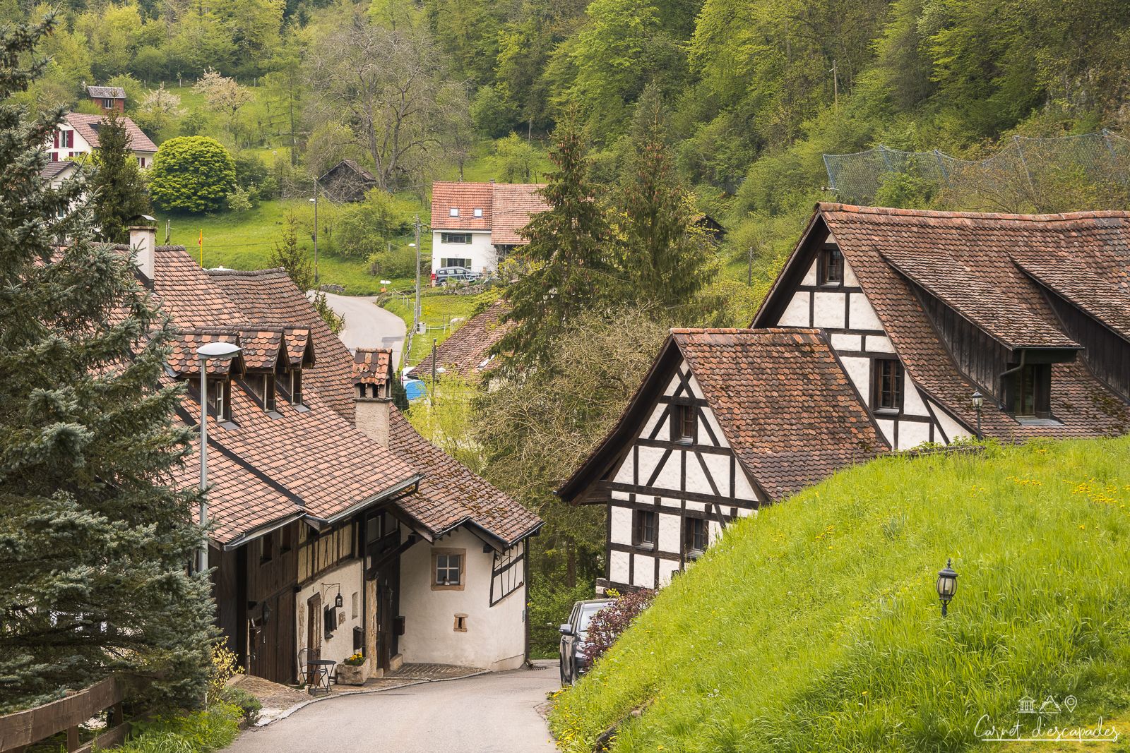burg-suisse