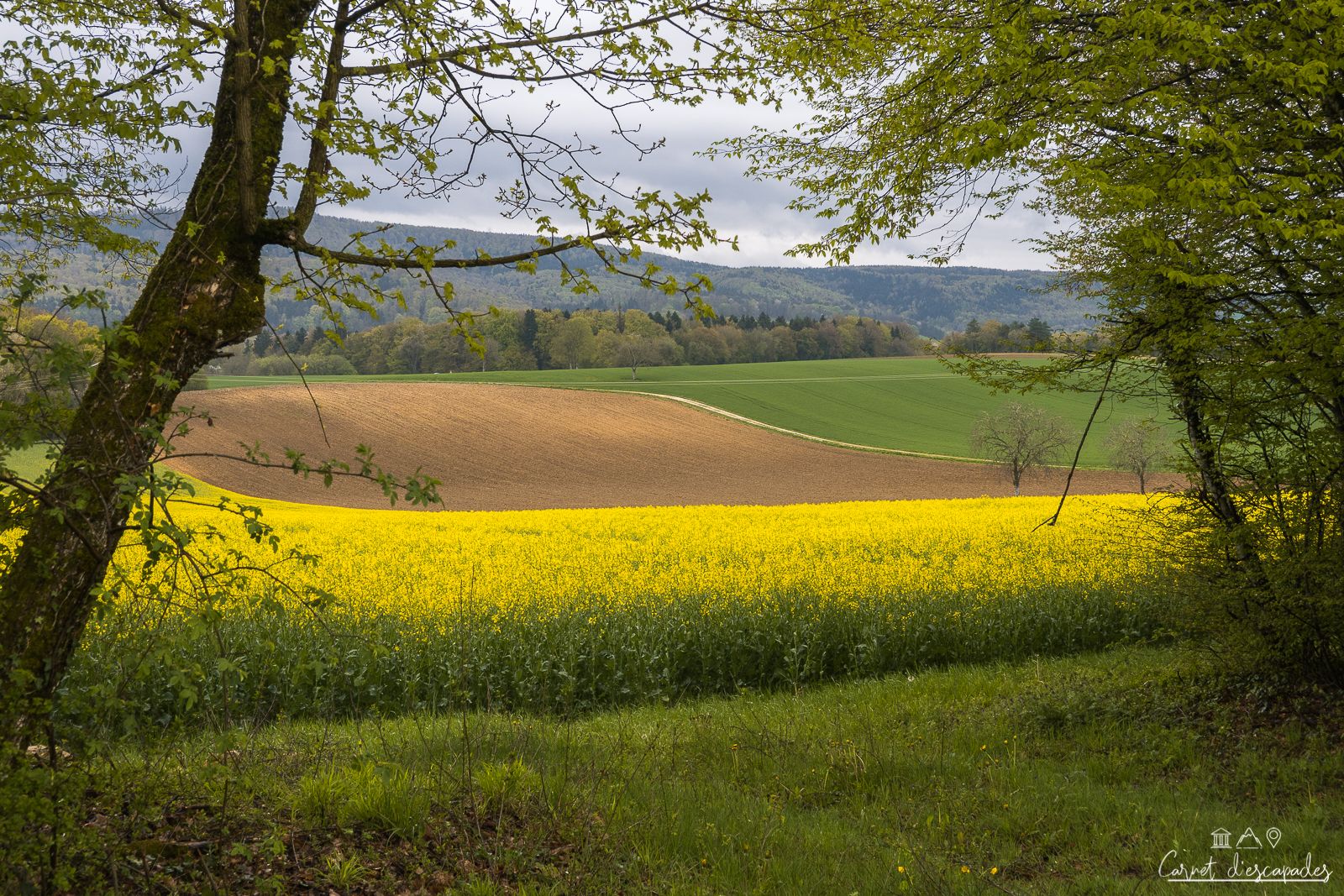 champs-sundgau
