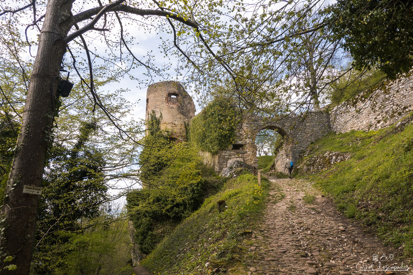 chateau-ferrette
