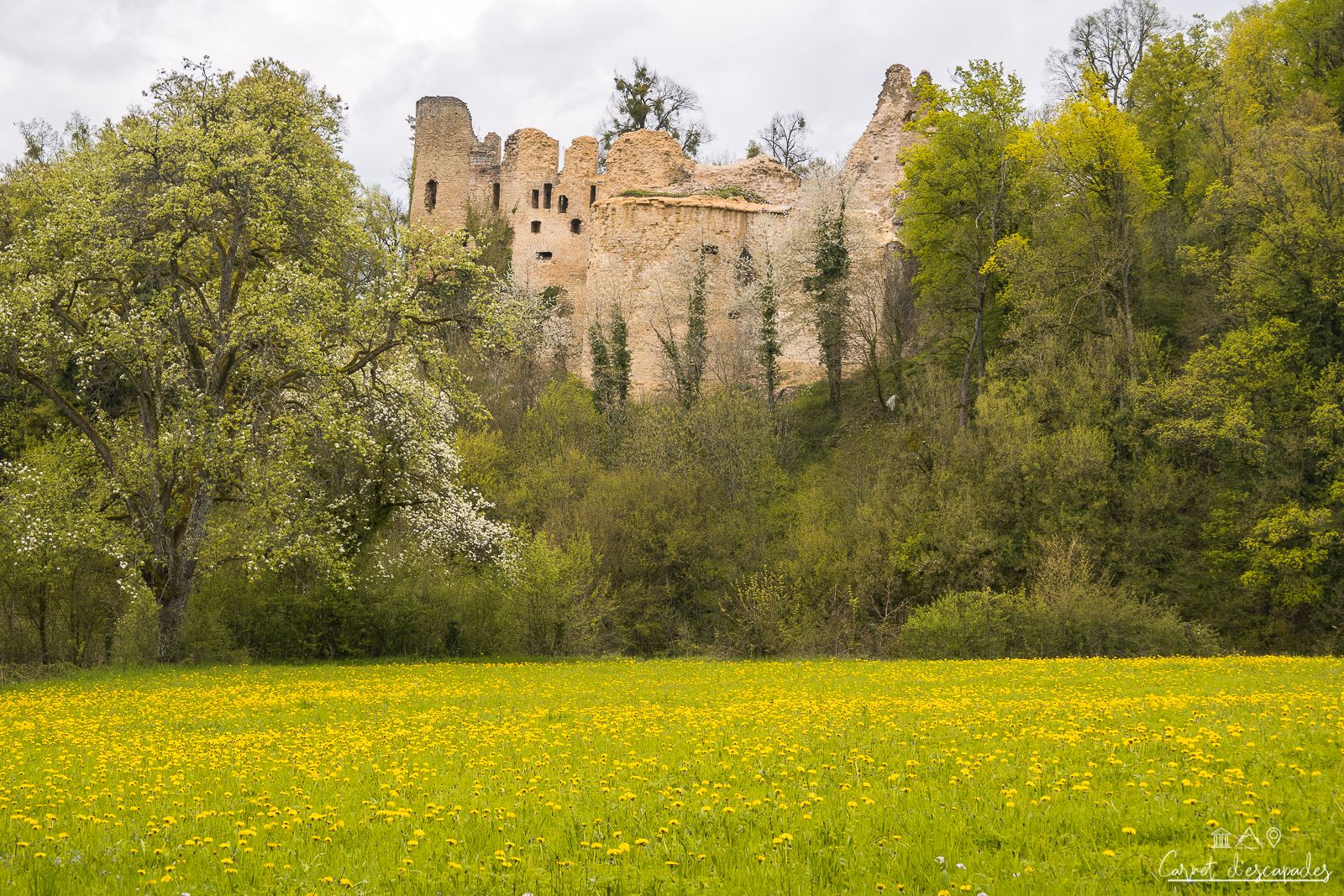 chateau-morimont