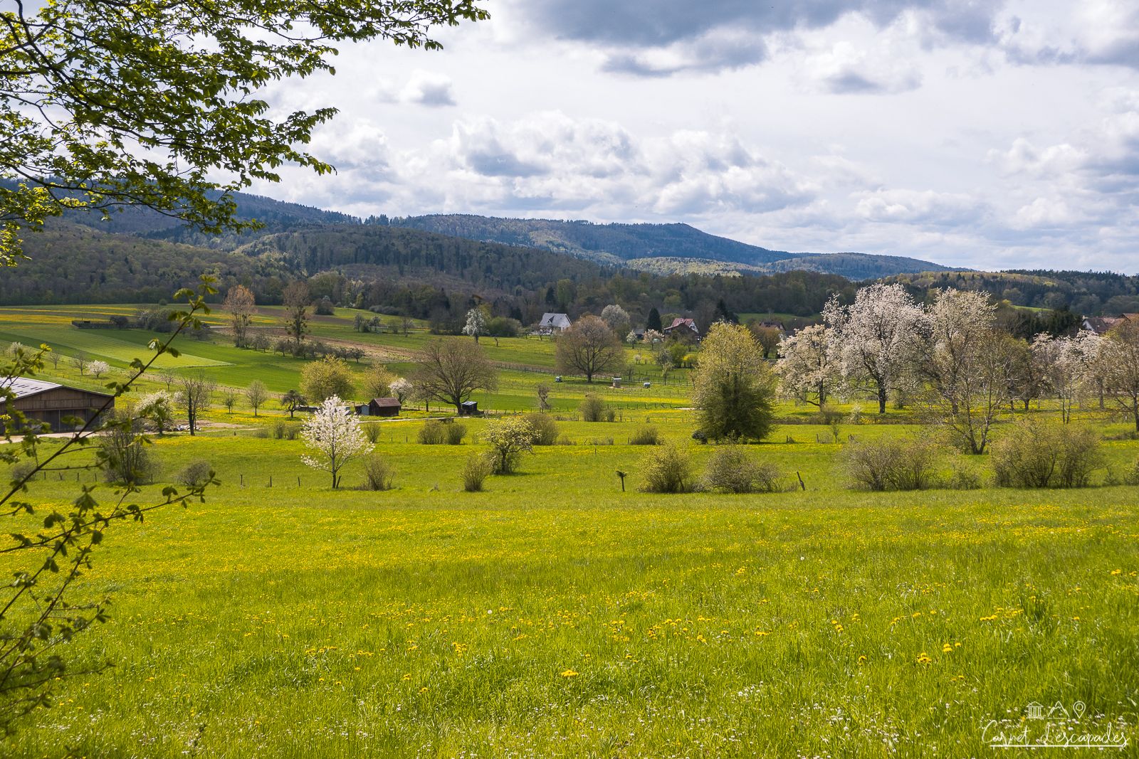collines-sundgau
