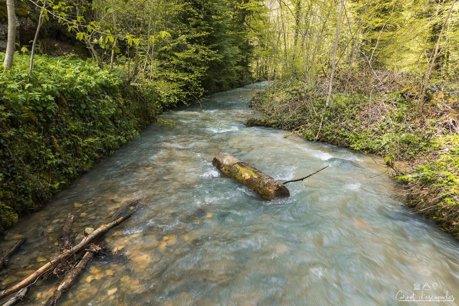 cours-eau-lutter