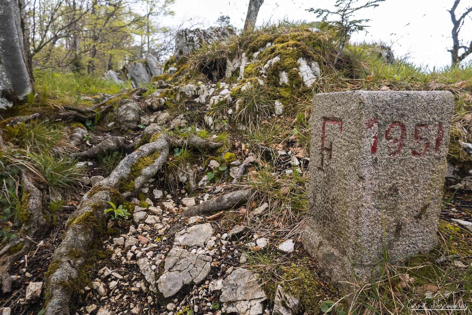frontiere-franco-suisse-borne