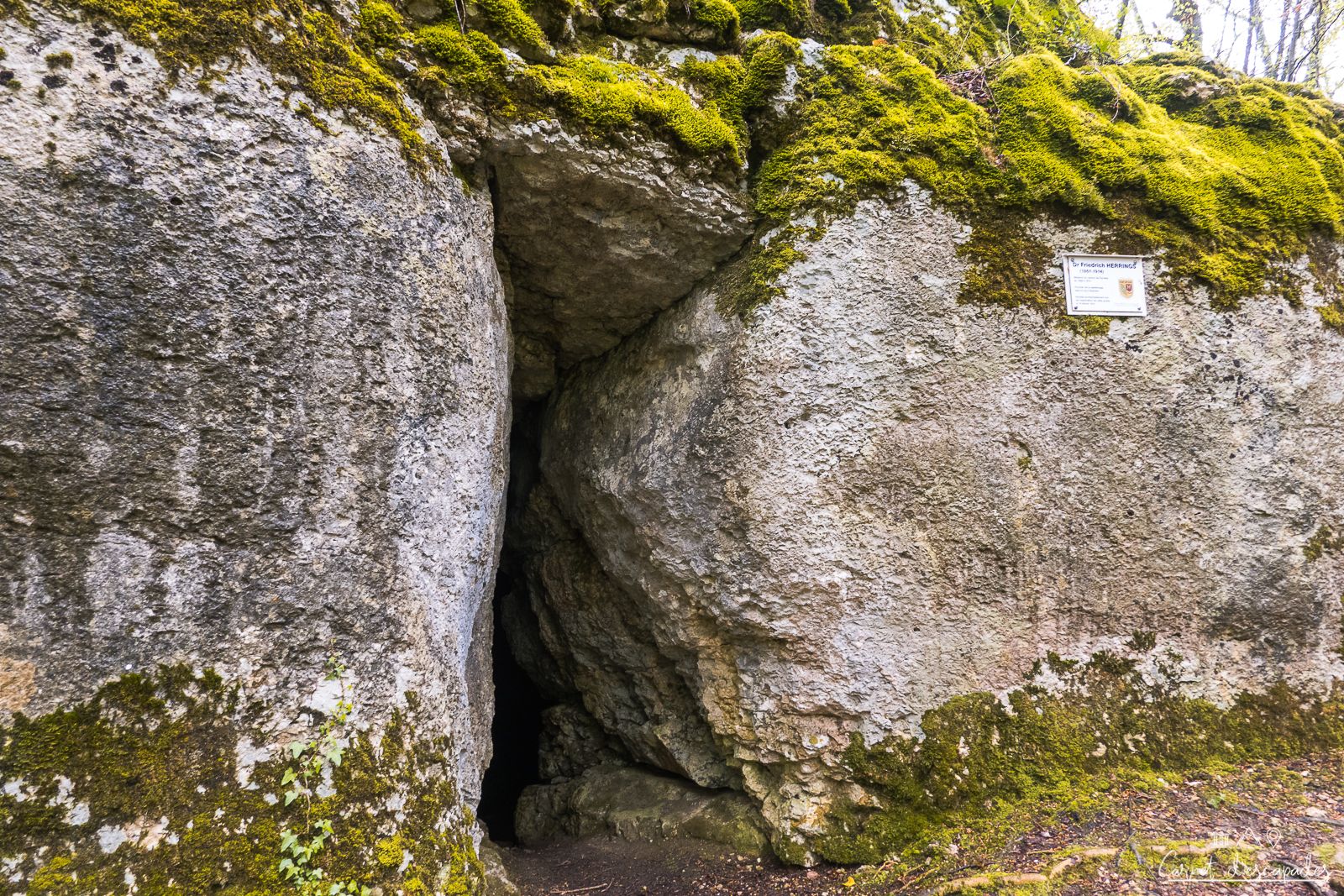 grotte-docteur-herrings