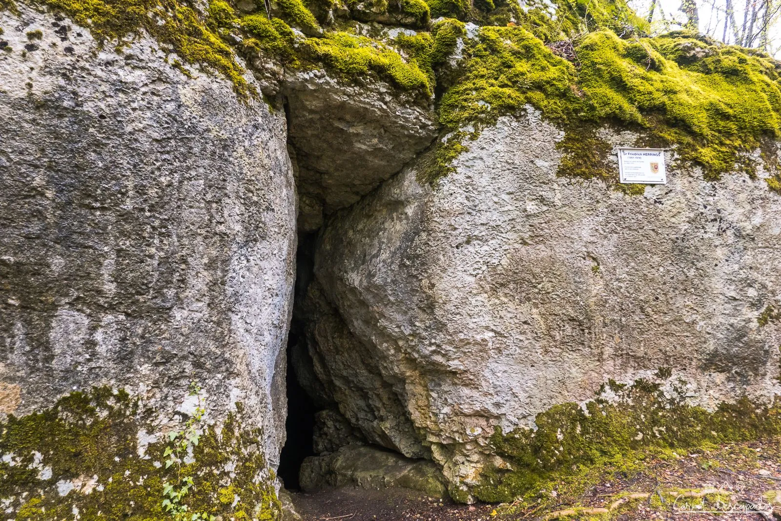 grotte-docteur-herrings