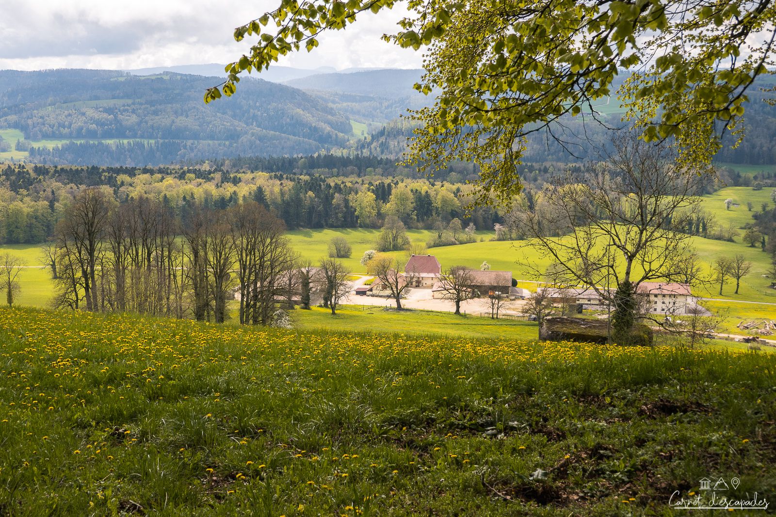 panorama-depuis-glaserberg