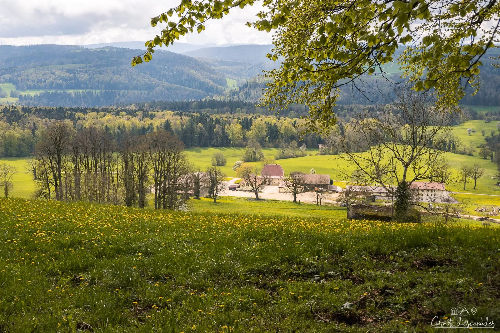 panorama-depuis-glaserberg