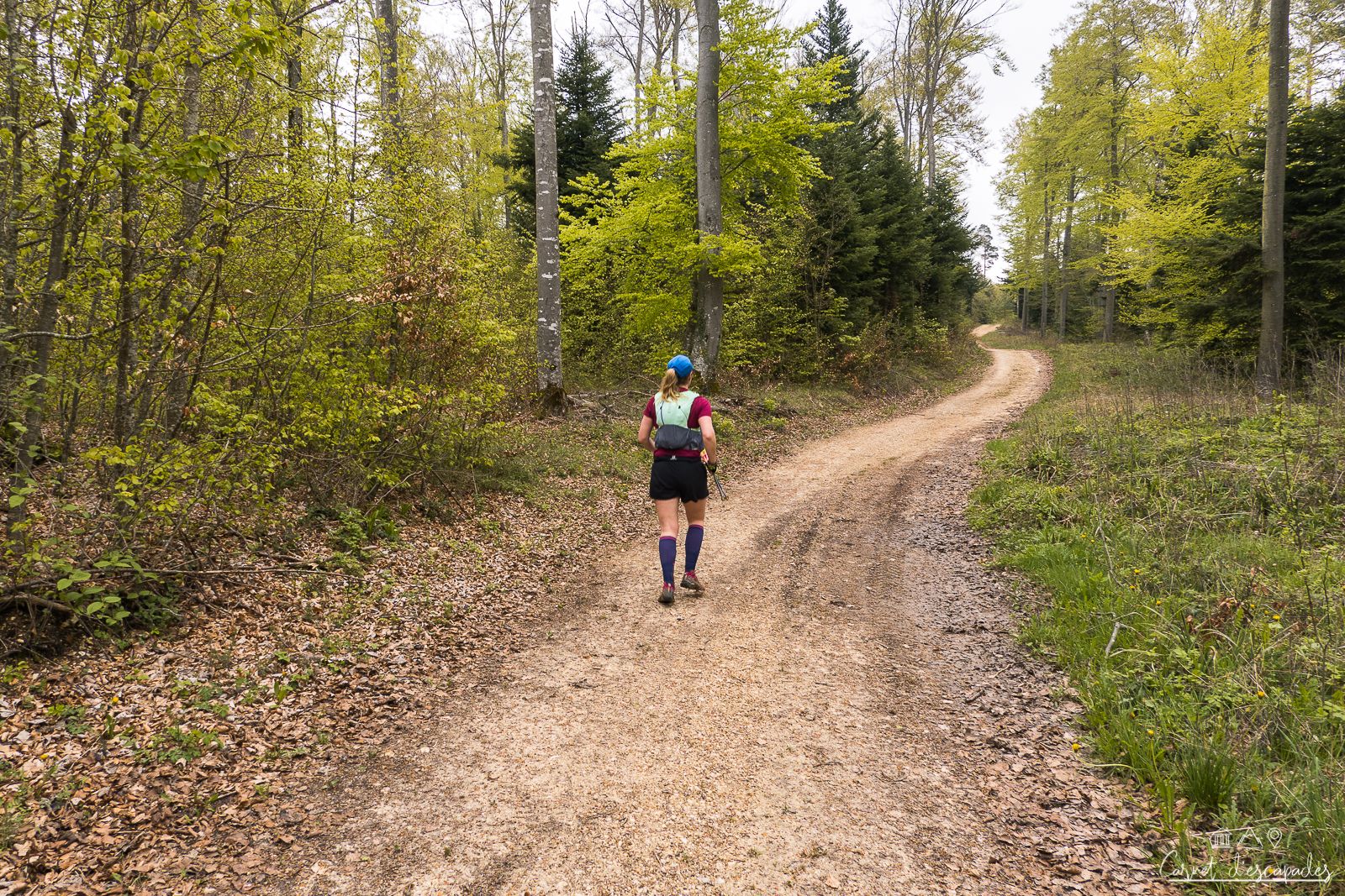 rando-trail-jura-alsacien