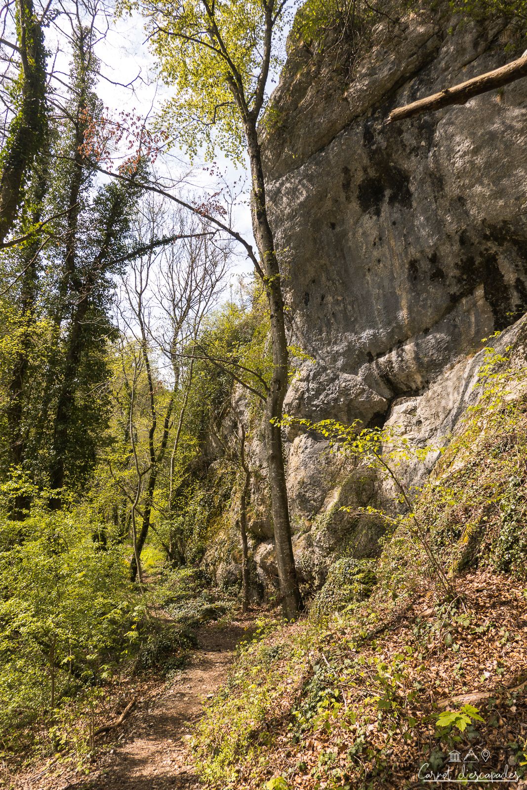 rochers-calcaire-jura-alsacien