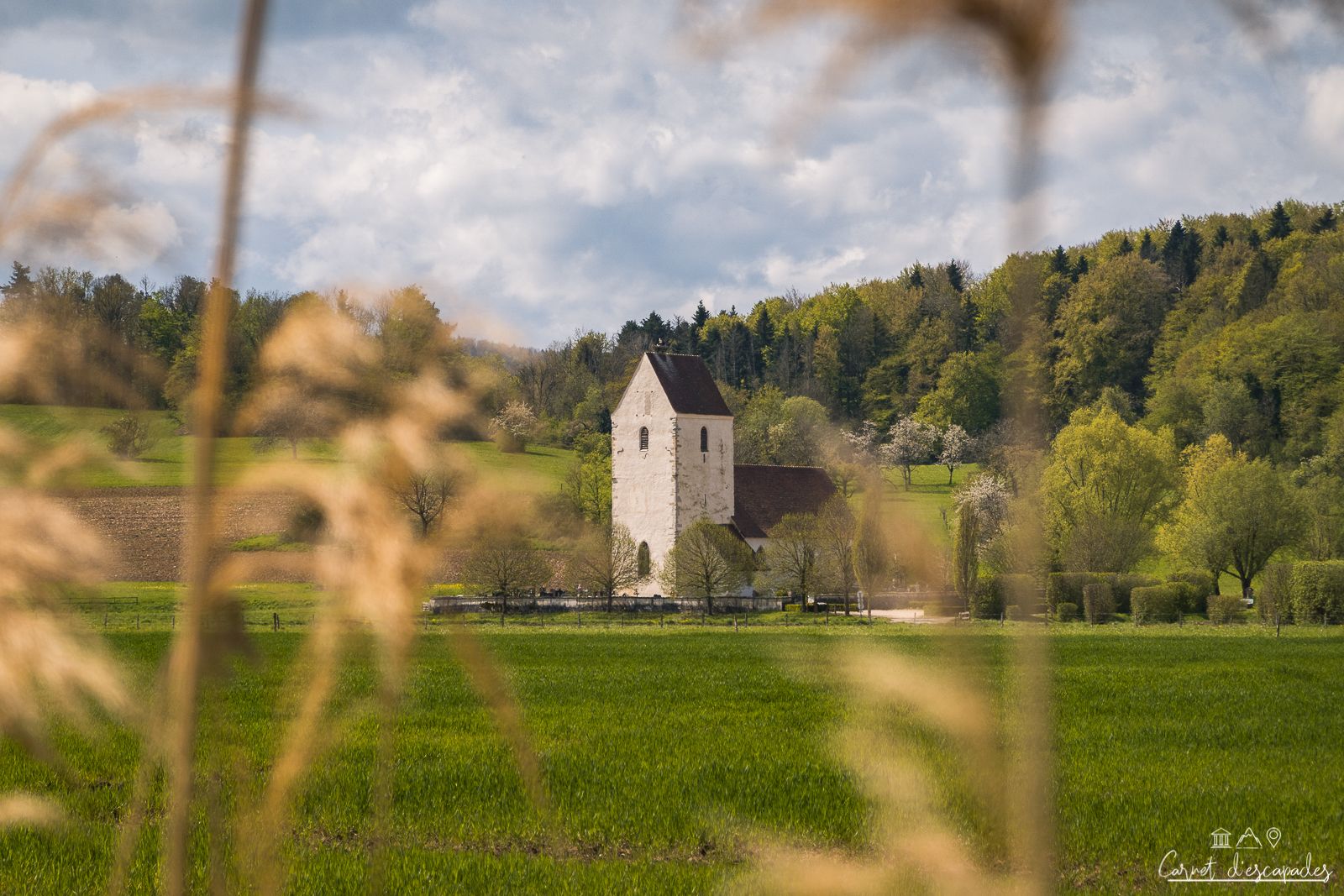 saint-martin-champs-oltingue