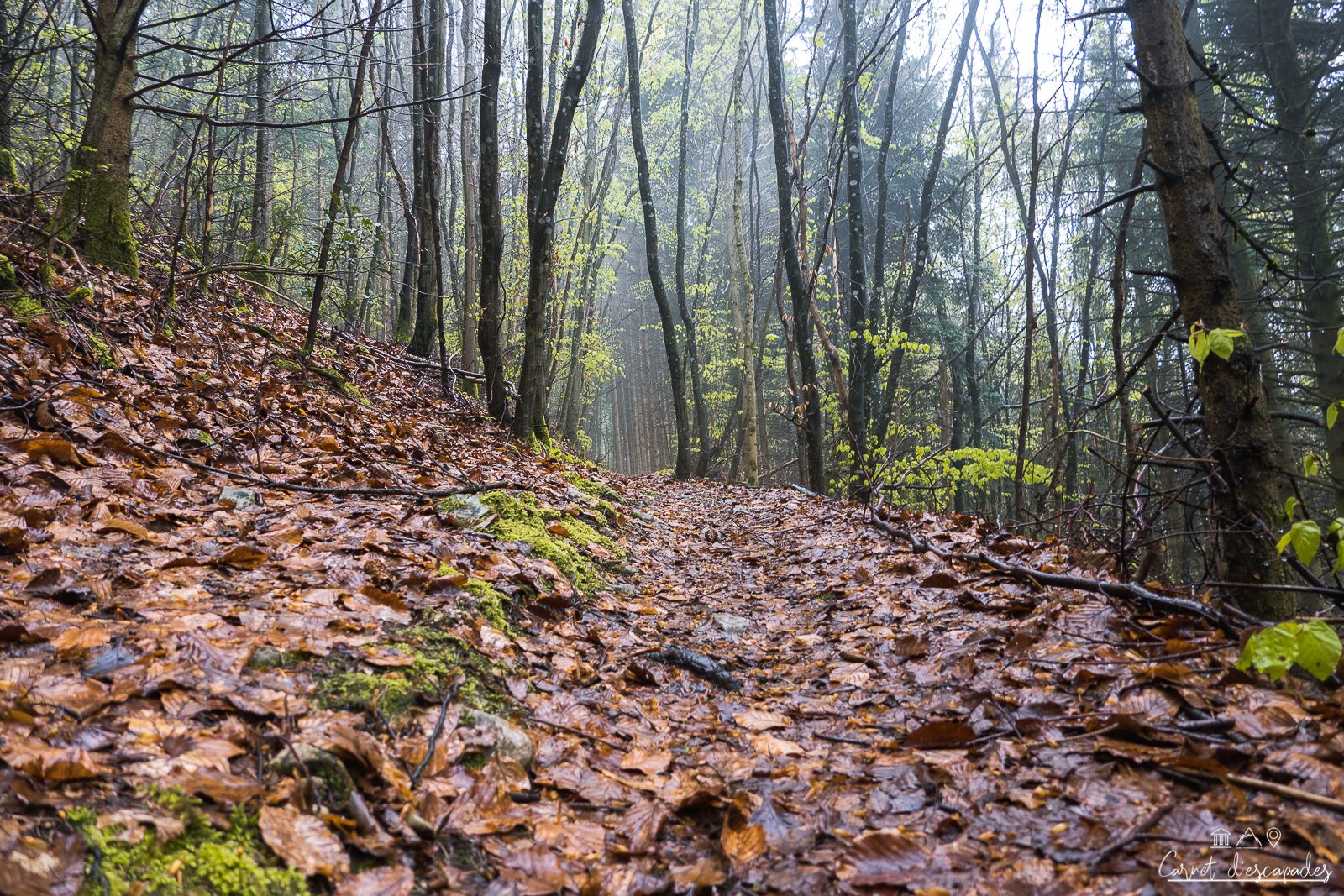 sentier-rando-rossberg