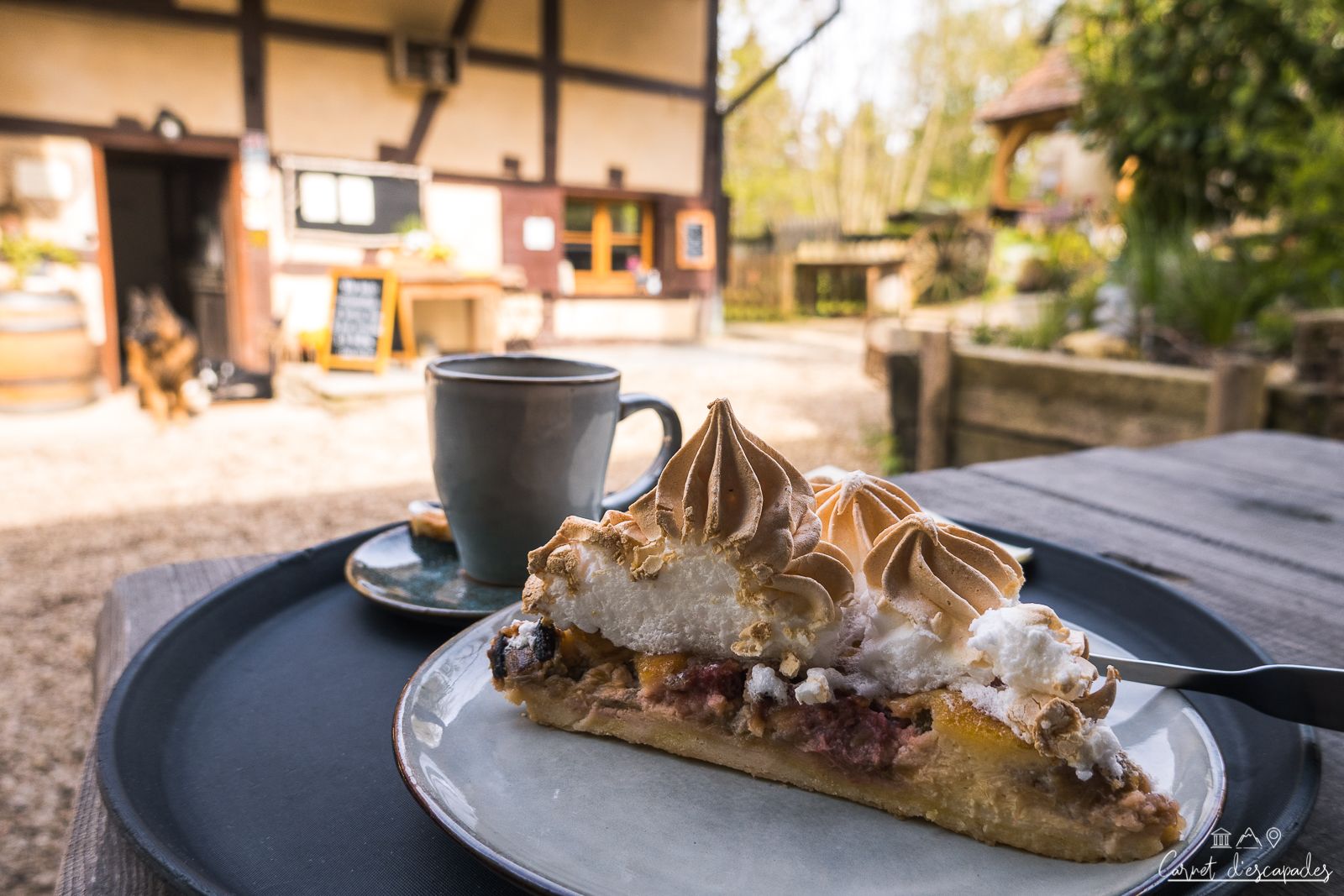 tarte-rhubarbe-saint-brice