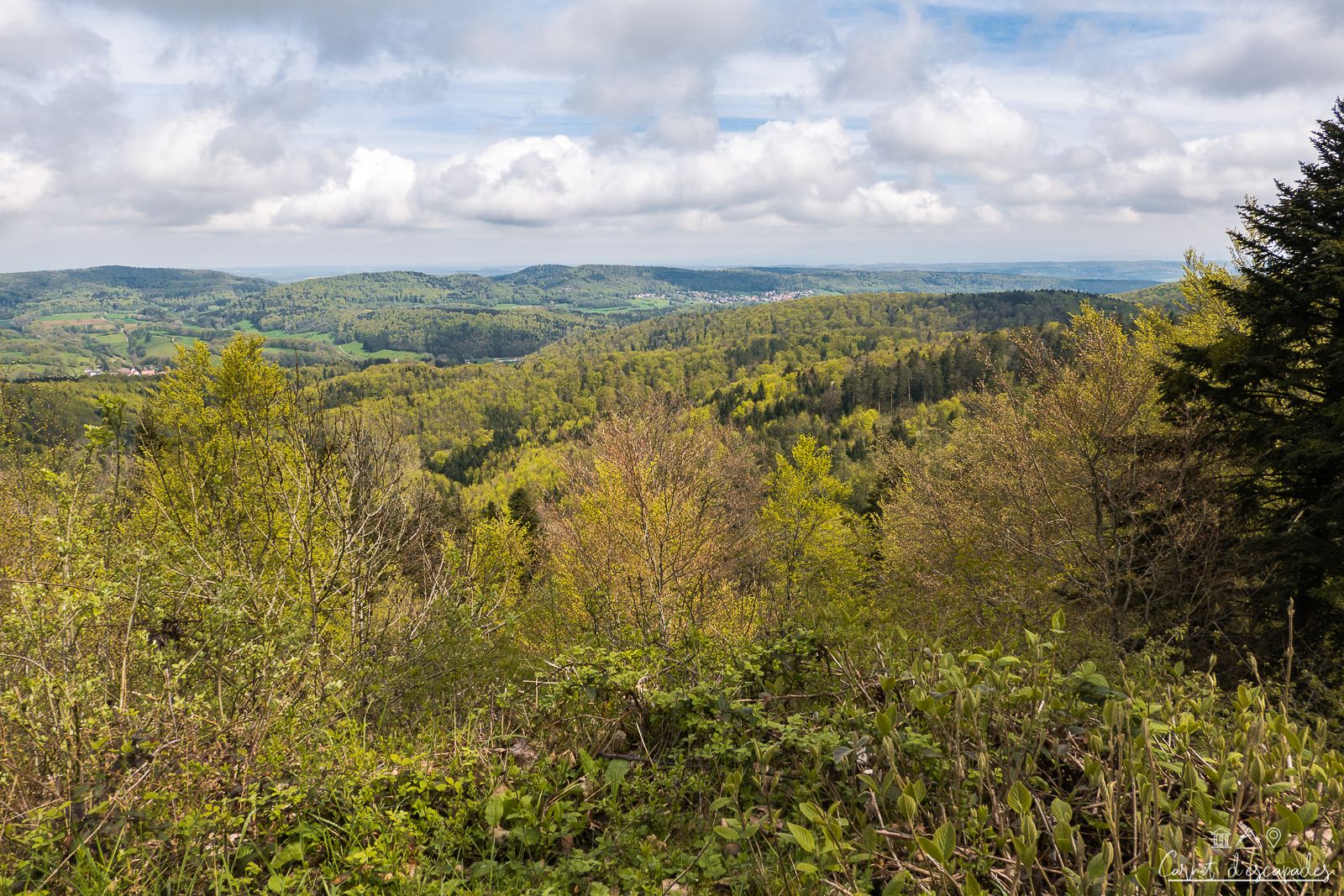 vue-col-neuneich
