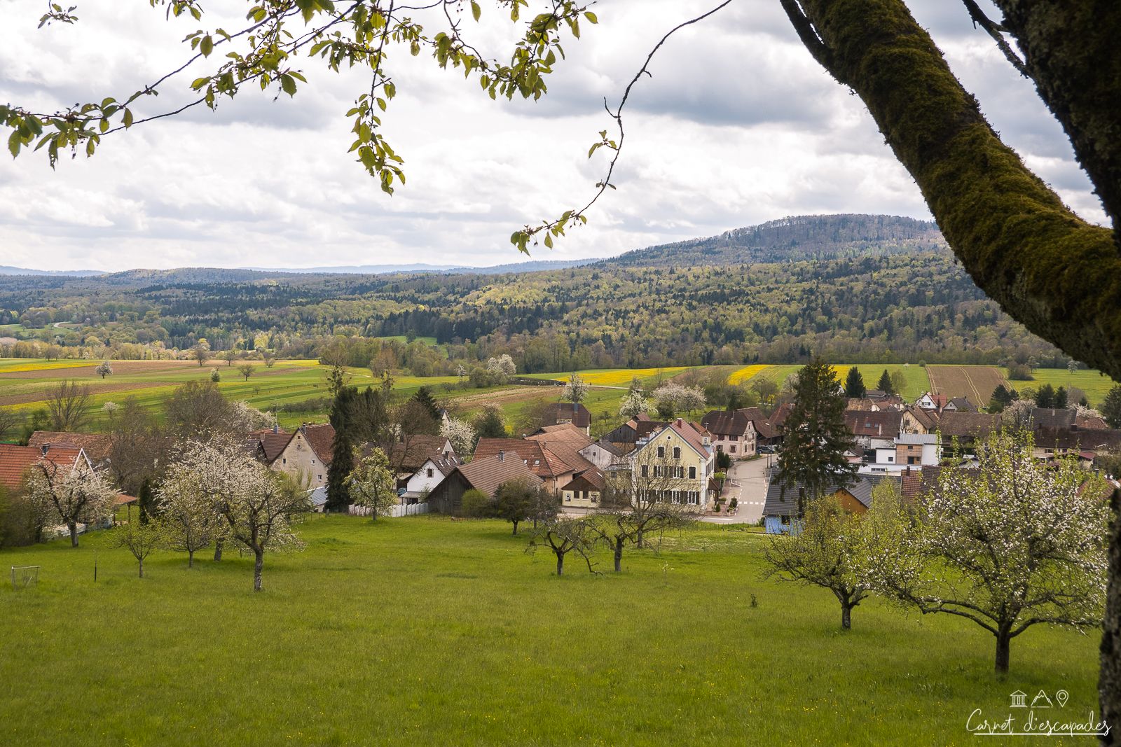 vue-raedersdorf