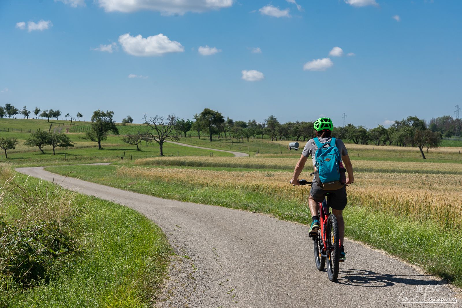 alsace-bossue-velo