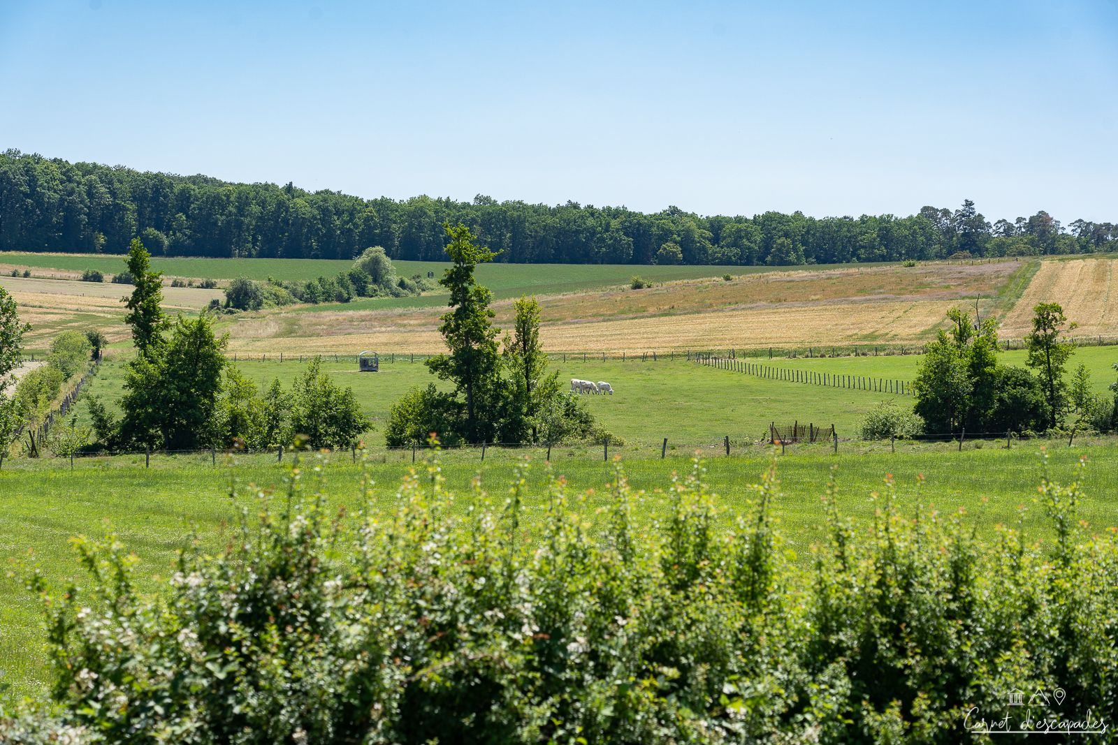 alsace-bossue