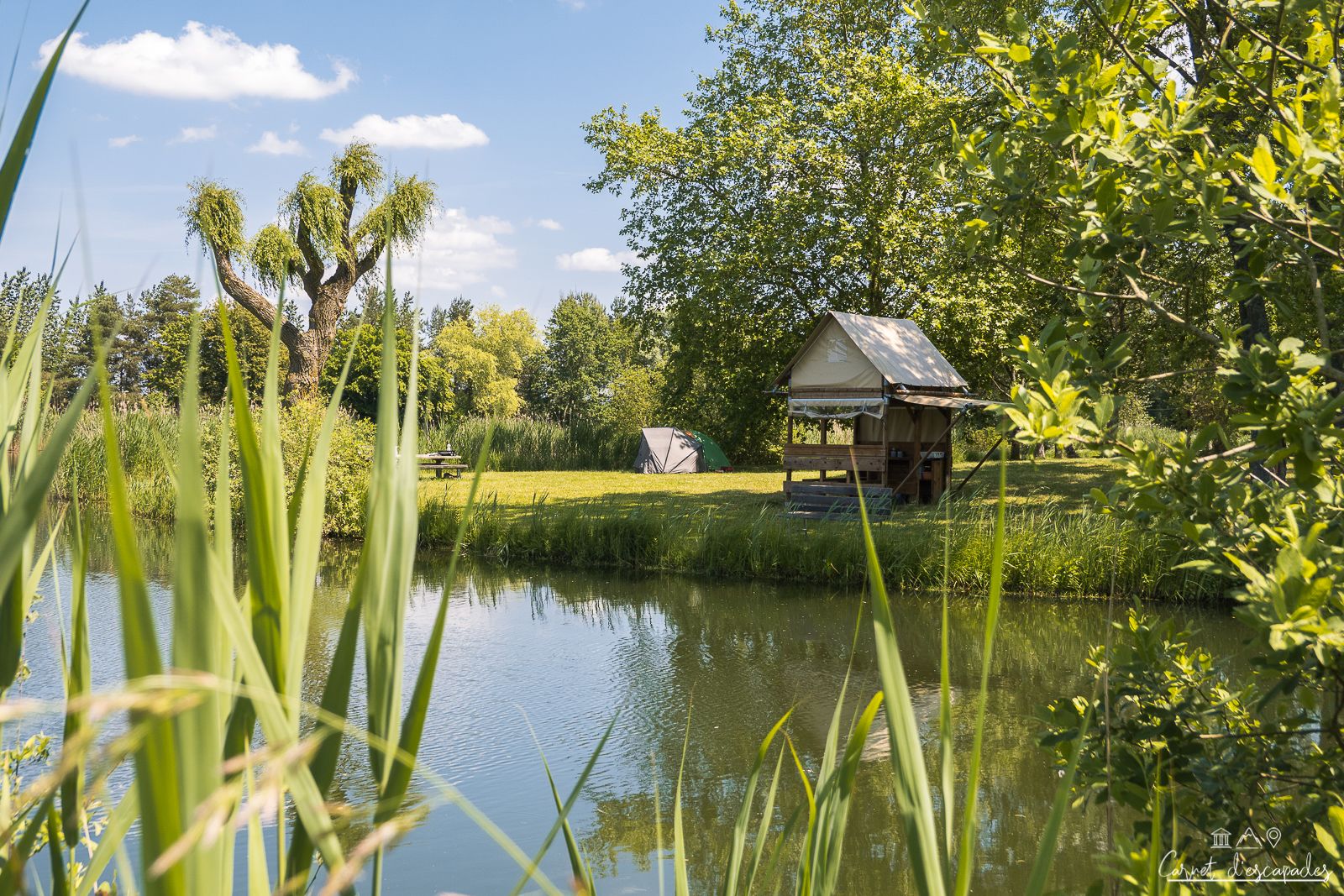 tente-bivouac-camping-coeur-alsace