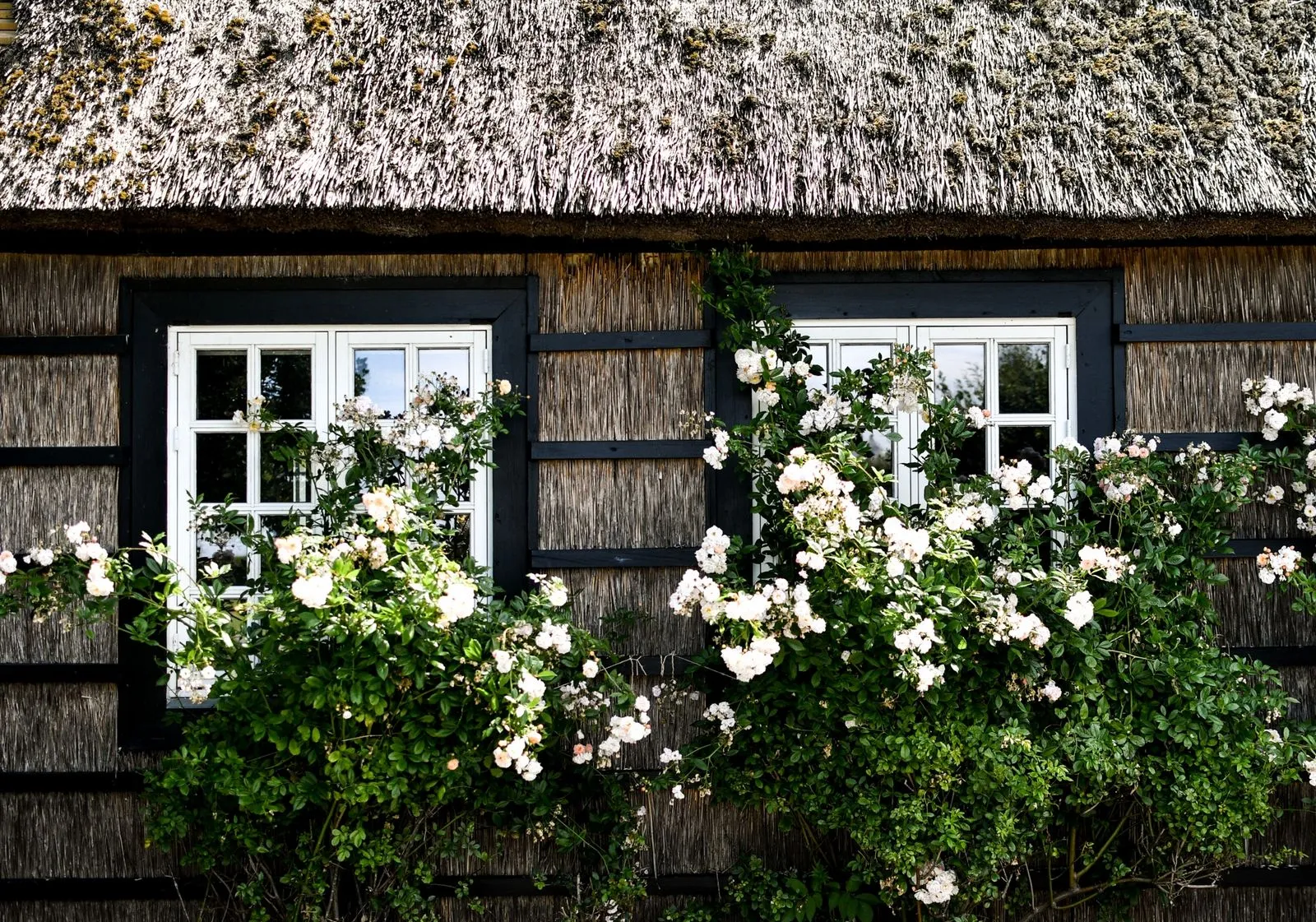 askeby-danemark