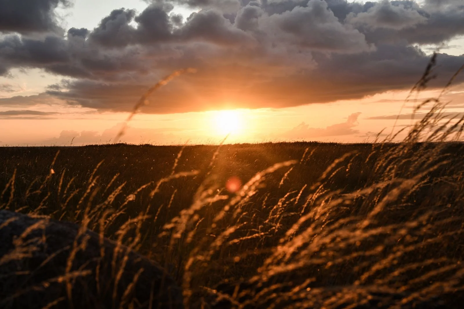 coucher-soleil-gedser