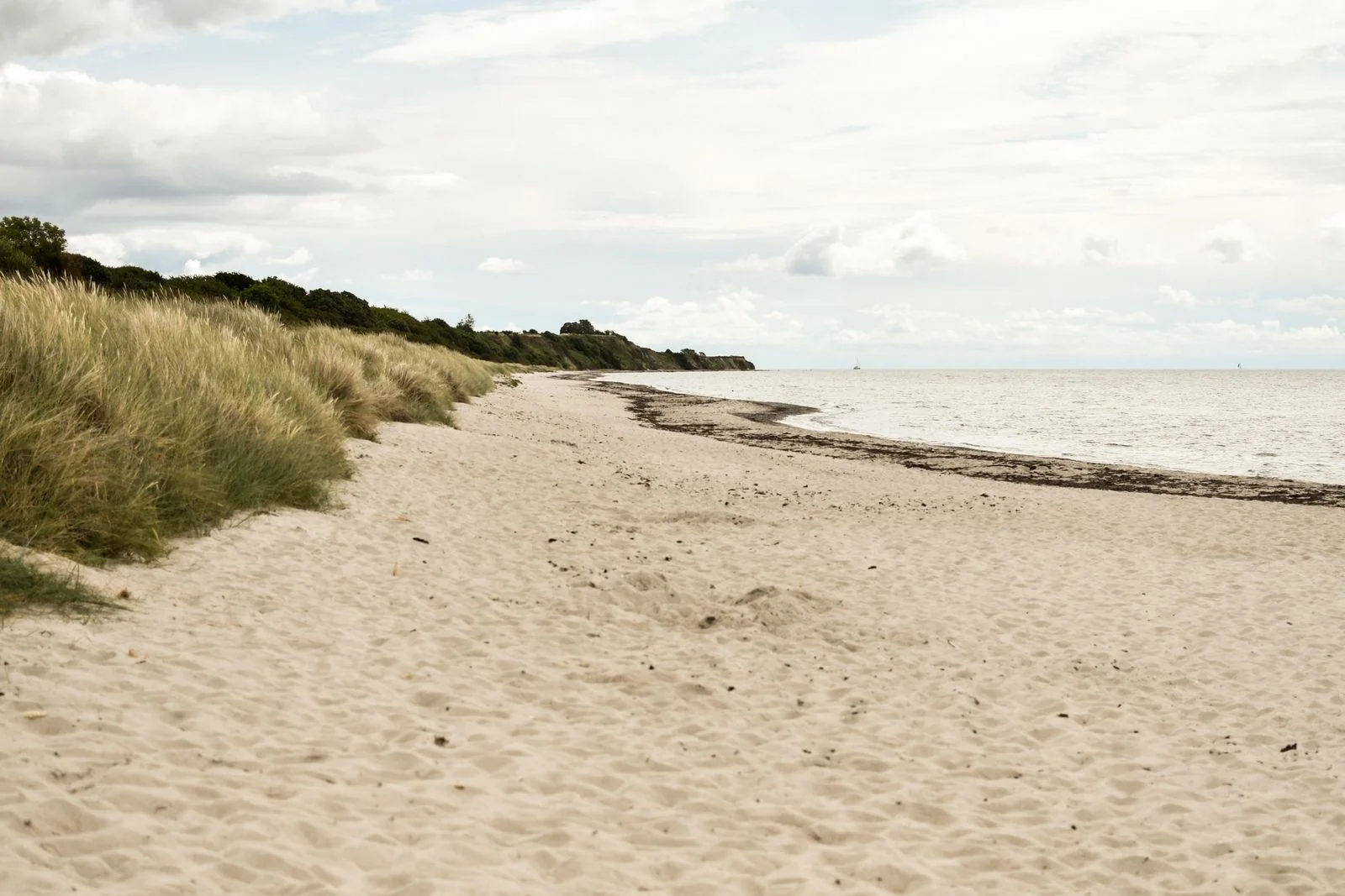 danemark-askeby