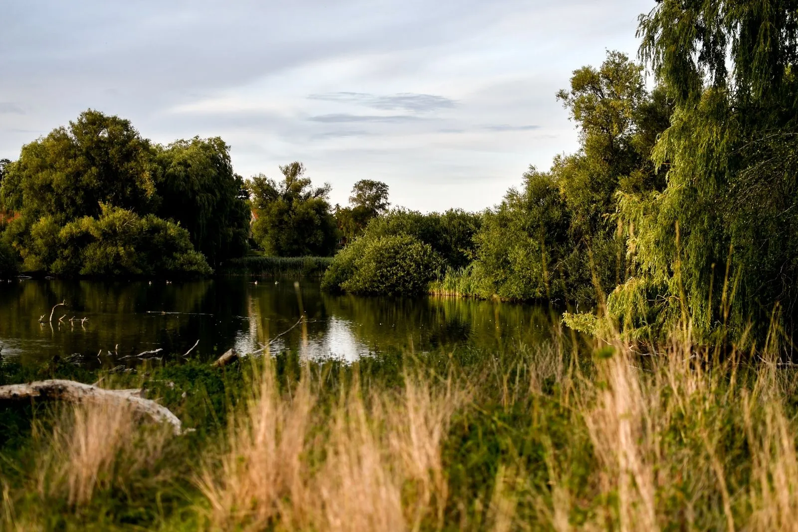 etang-maribo