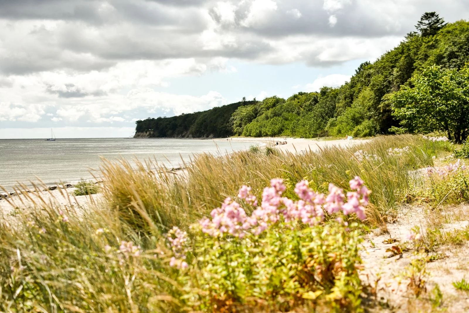 falster-danemark