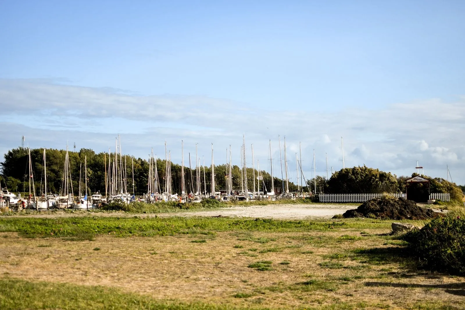 port-gedser