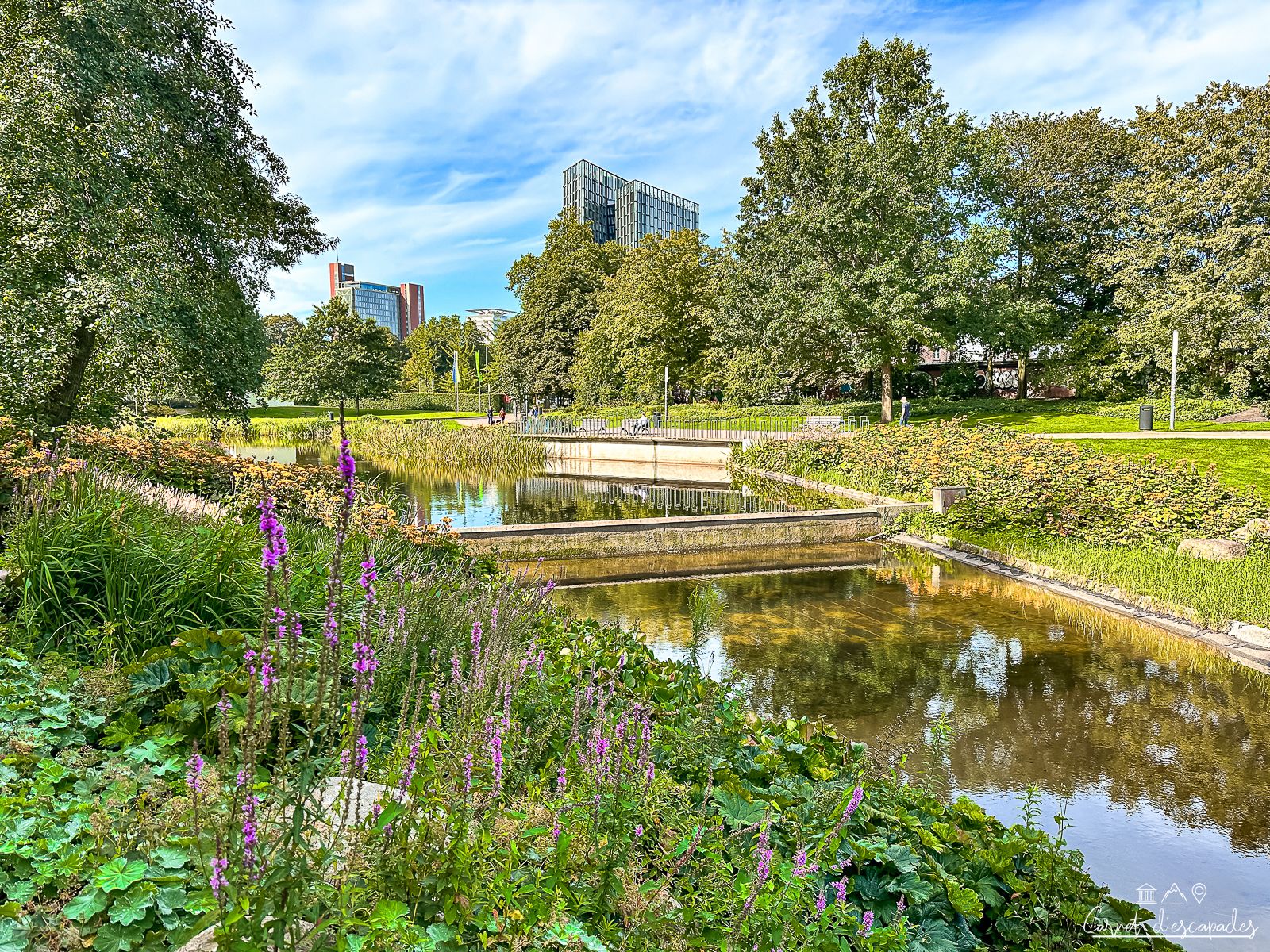 jardin-botanique-hambourg