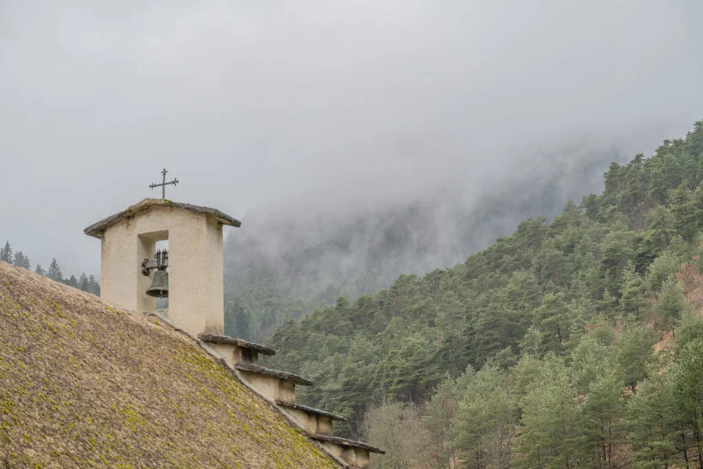 2024 fevrier hiber france vercors randonnee loup grand angle neige carnet escapades montagne 53