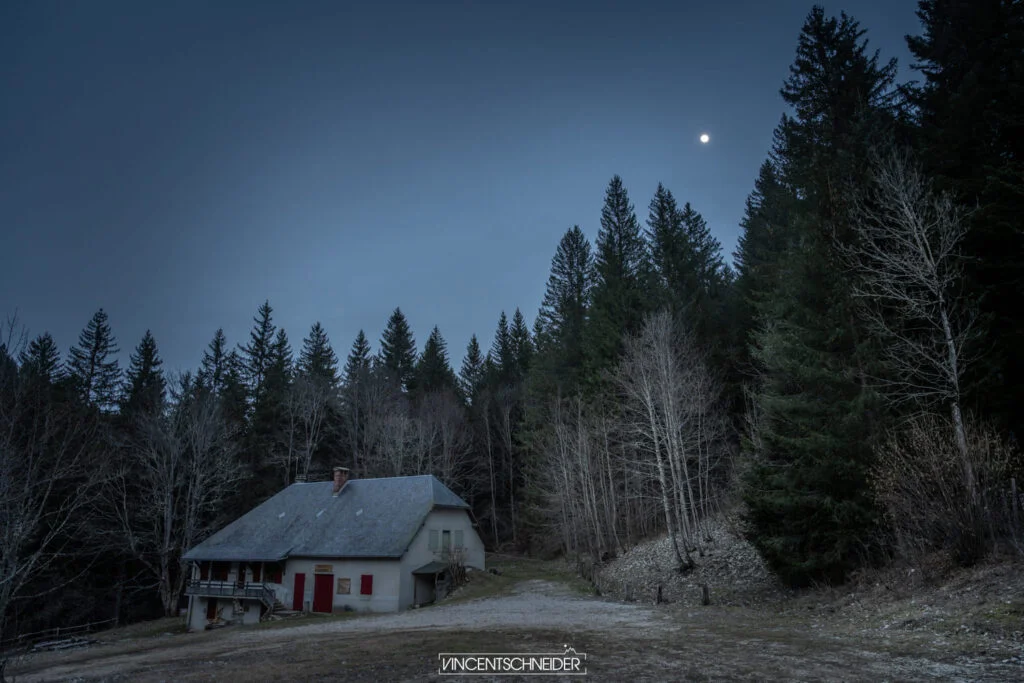 2024 fevrier vercors sur traces du loup 10