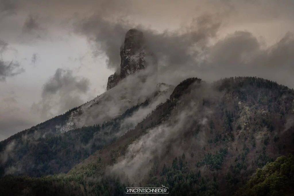 2024 fevrier vercors sur traces du loup 23