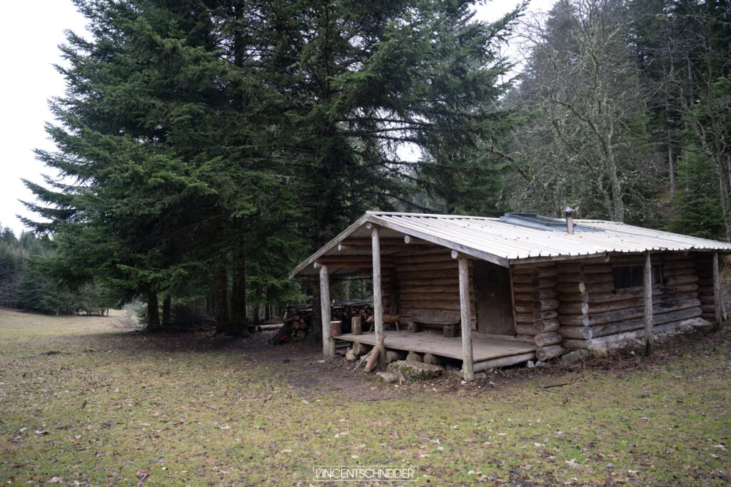 2024 fevrier vercors sur traces du loup 25
