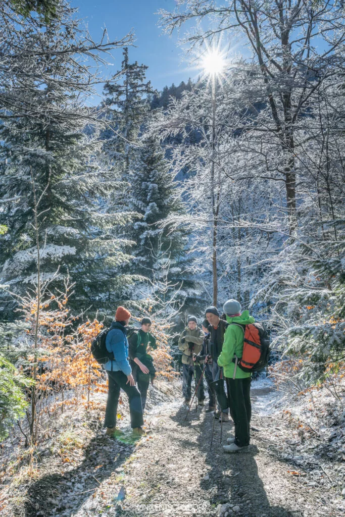 2024 fevrier vercors sur traces du loup 35 1