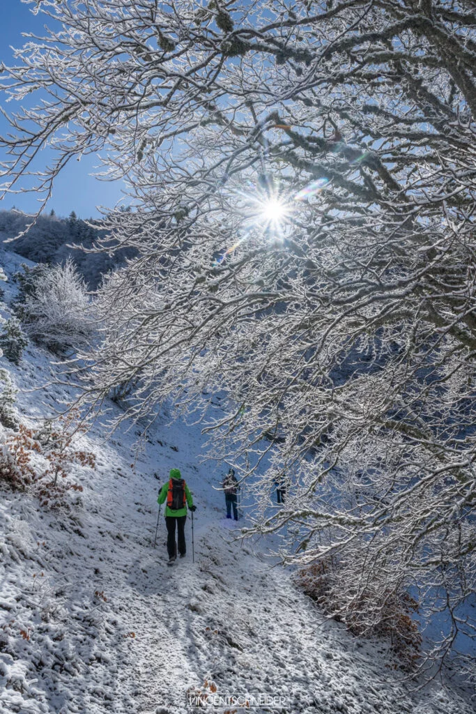 2024 fevrier vercors sur traces du loup 46