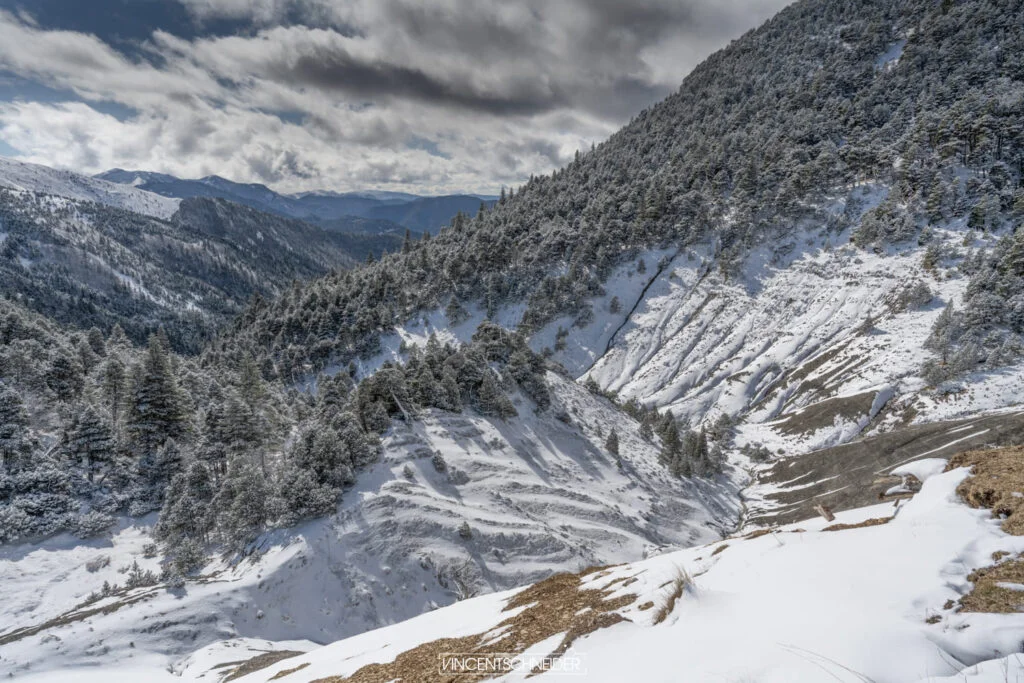 2024 fevrier vercors sur traces du loup 49