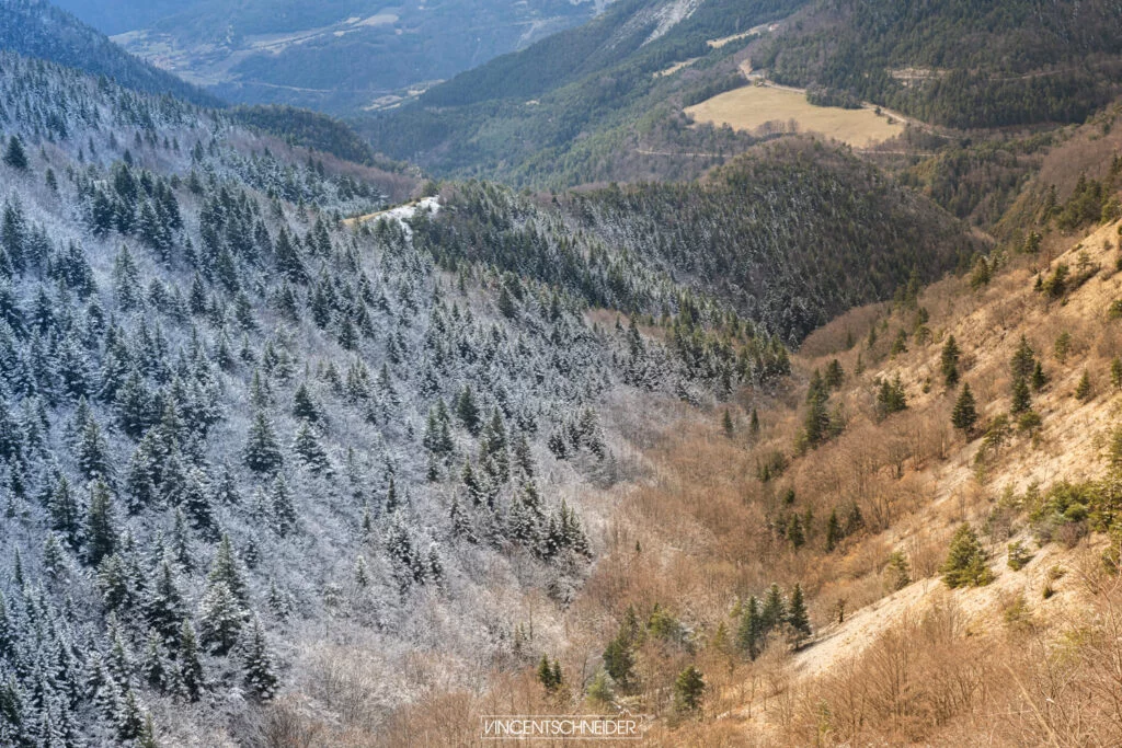 2024-fevrier-vercors-sur-traces-du-loup-63