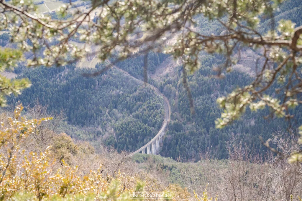 2024 fevrier vercors sur traces du loup 73