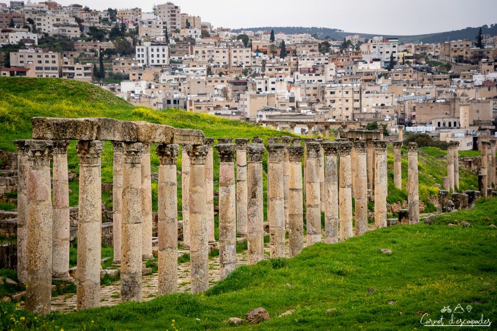 colonnes jerash