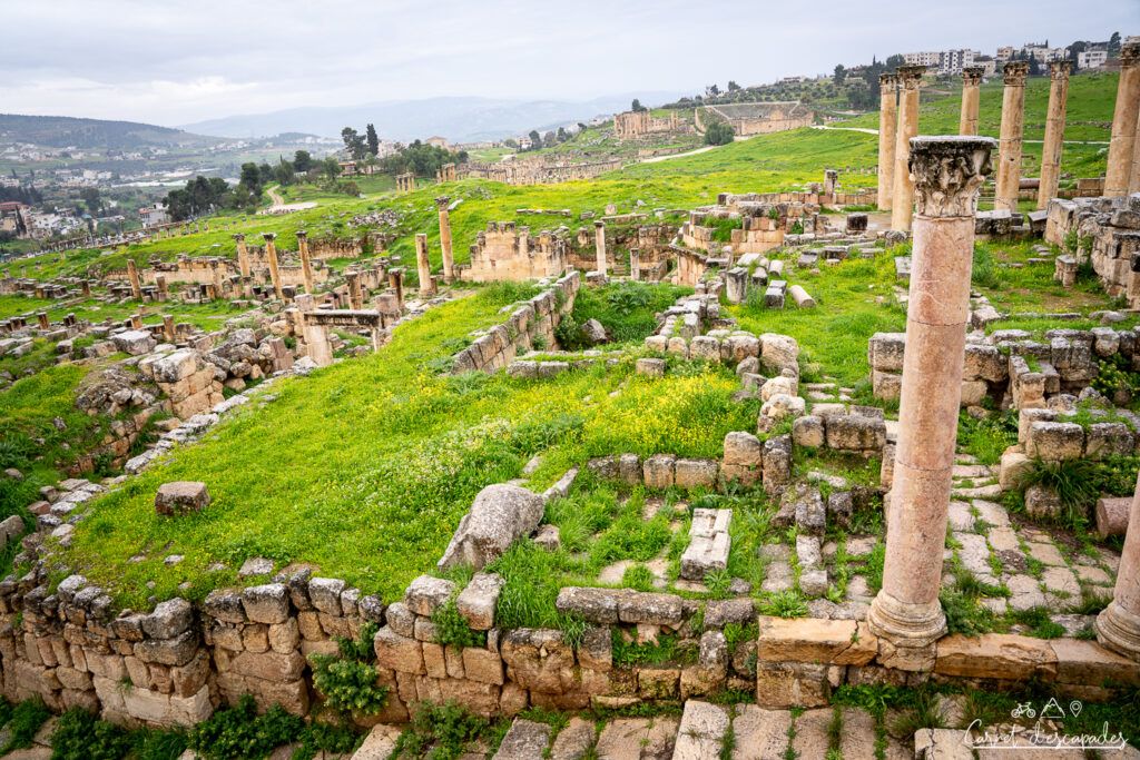 jerash-gerasa-jordanie